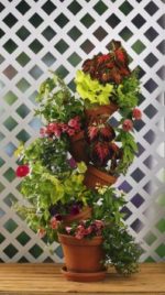 301W Stackable Plant Stand