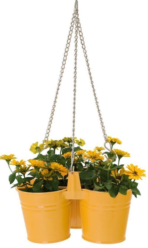 8116E SAFF Triple Hanging Planter for 4.5 in. Plants, Saffron
