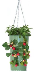 8395E AG Enameled Galvanized Hanging Strawberry, Floral Planter - AppleGreen