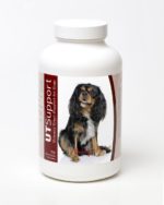 840235144250 Cavalier King Charles Spaniel Cranberry Chewables - 75 Count