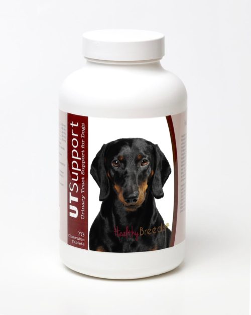 840235144595 Dachshund Cranberry Chewables - 75 Count
