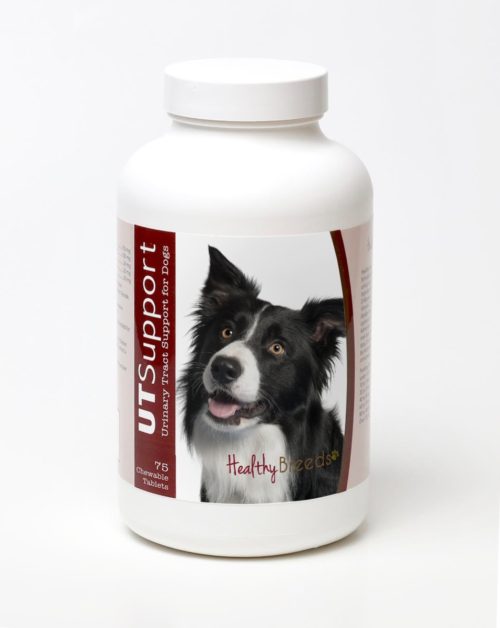 840235144779 Border Collie Cranberry Chewables - 75 Count