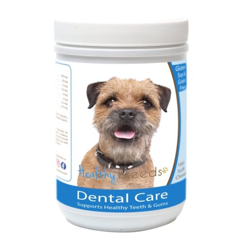 840235163336 Border Terrier Breath Care Soft Chews for Dogs - 60 Count