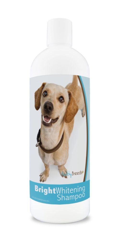 840235171829 12 oz Chiweenie Bright Whitening Shampoo