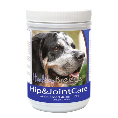 840235183440 Bluetick Coonhound Hip & Joint Care, 120 Count