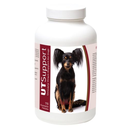 840235185314 Russian Toy Terrier Cranberry Chewables, 75 Count