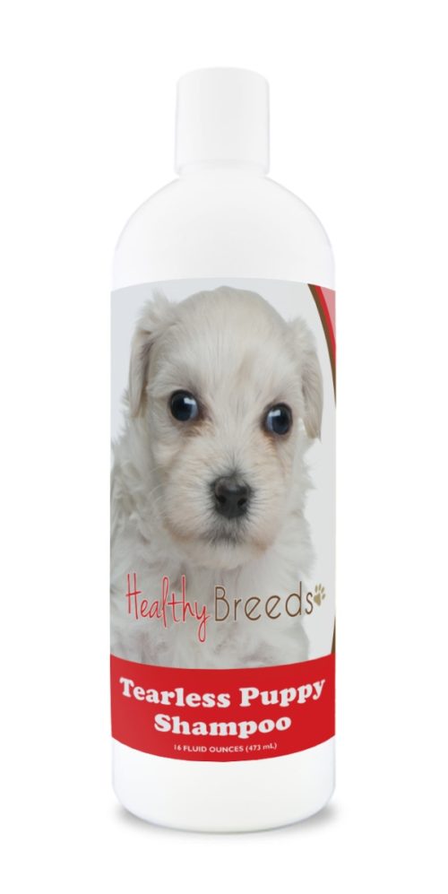 840235186205 Lowchen Tearless Puppy Dog Shampoo