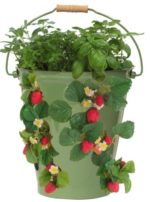 8494E SA Enameled Galvanized Strawberry & Flower Planter, Sage