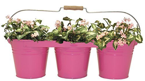 Enameled Galvanized Triple Planter with Wood Handle for 6.5 in. Pots, HotPink