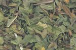 H16PEPC 1oz Peppermint Leaf Cut - Mentha Piperita