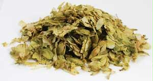 HHOPW 1oz Hops Flower Whole - Humulus Iupulus