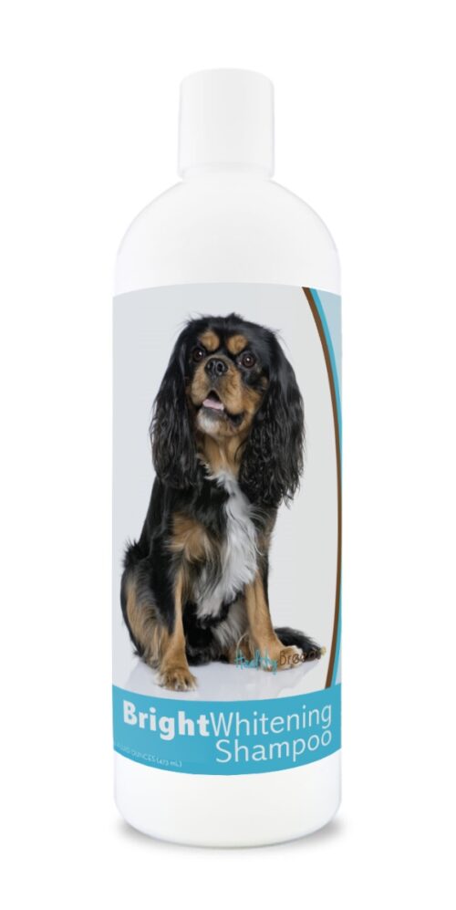 840235169697 12 oz Cavalier King Charles Spaniel Bright Whitening Shampoo