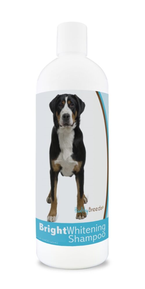 840235169819 12 oz Greater Swiss Mountain Dog Bright Whitening Shampoo