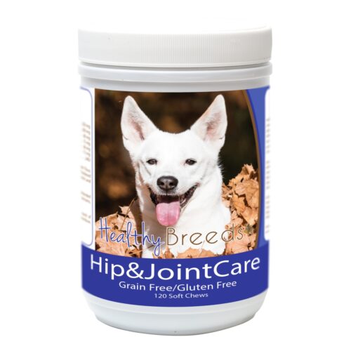 840235183693 Canaan Dog Hip & Joint Care, 120 Count