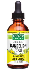 Botanic Choice Dandelion Root Liquid Extract - Digestive Support Supplement - 1 Oz