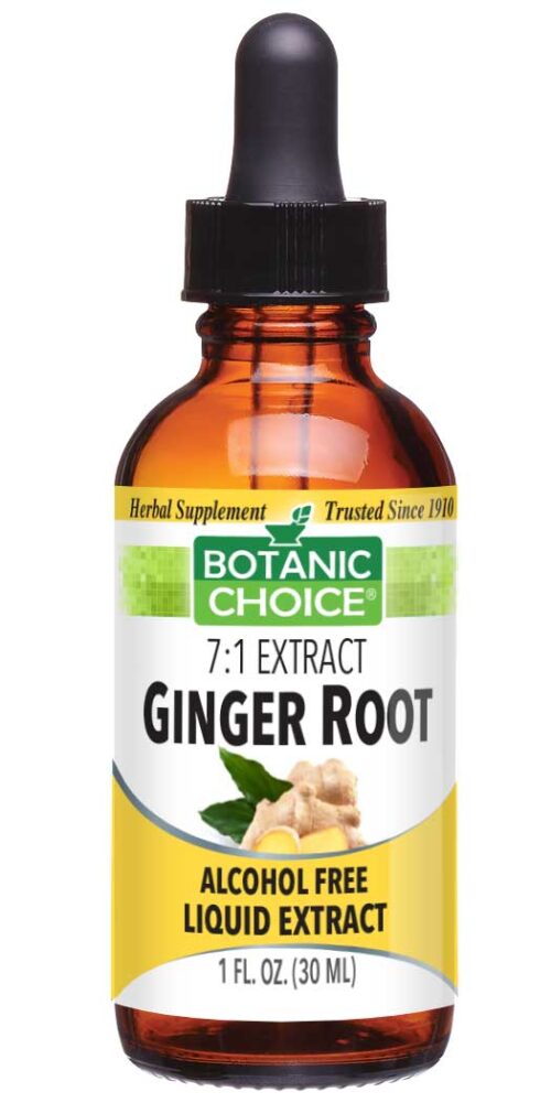 Botanic Choice Ginger Root Liquid Extract - General Health Support - 1 Oz