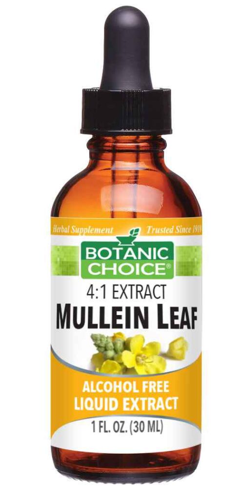 Botanic Choice Mullein Leaf Liquid Extract - Respiratory Health Support - 1 Oz