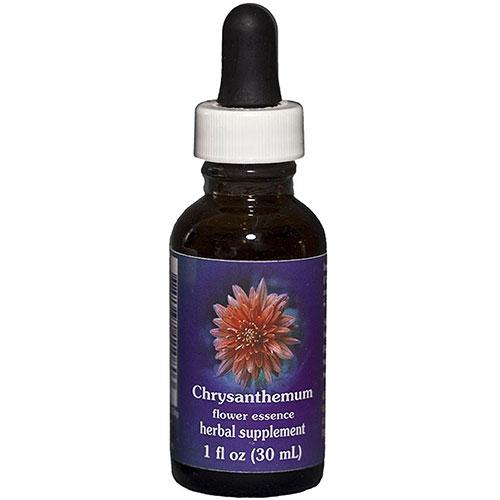 Chrysanthemum Dropper 1 oz by Flower Essence Services