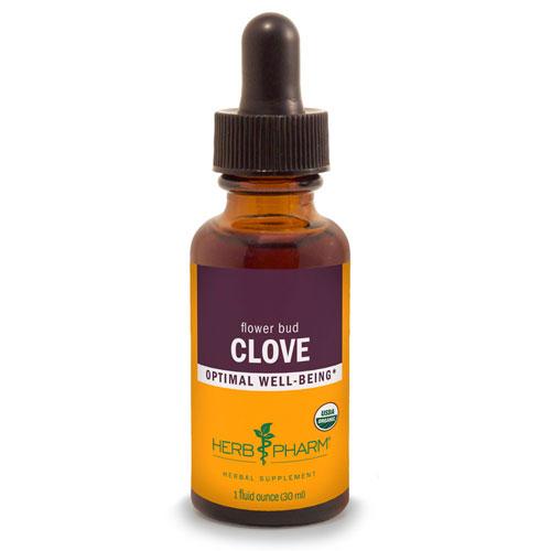 Clove Extract 1 Oz by Herb Pharm