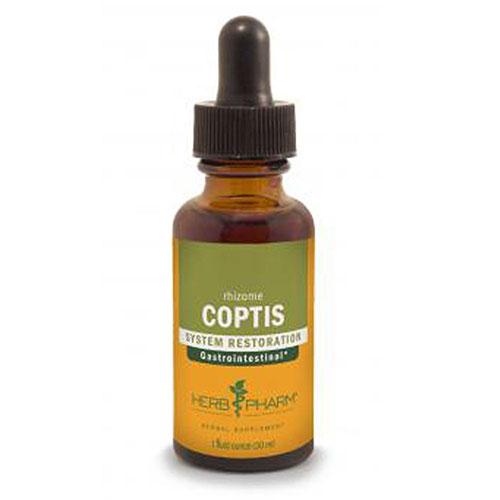 Coptis Extract 4 Oz by Herb Pharm
