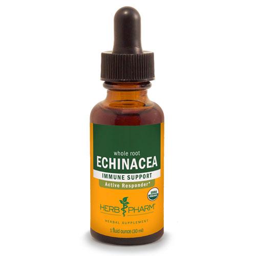 Echinacea Extract 4 Oz by Herb Pharm