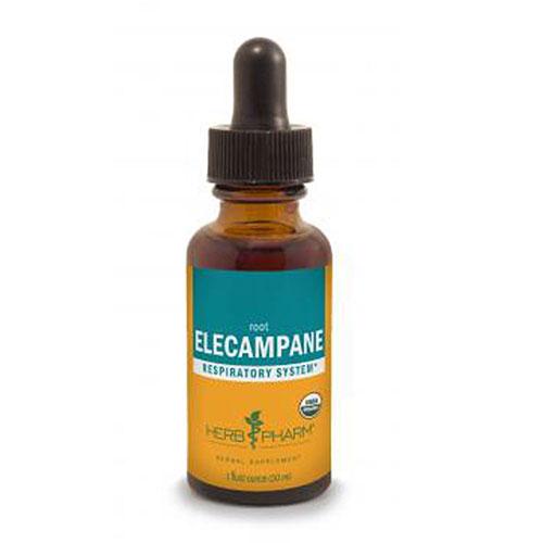 Elecampane Extract 1 Oz by Herb Pharm