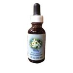 Holly Dropper 1 oz by Flower Essence Services
