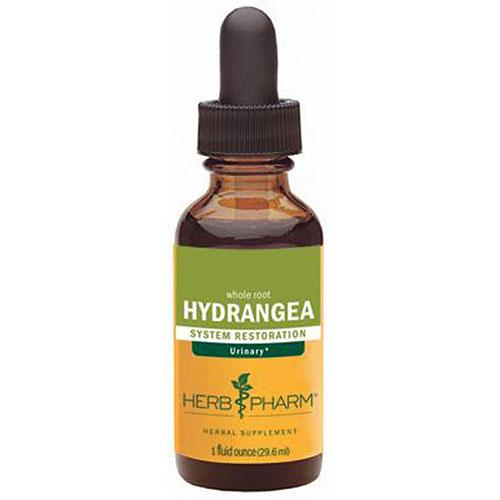 Hydrangea Extract 1 Oz by Herb Pharm