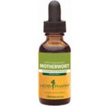Motherwort Extract 1 Oz by Herb Pharm