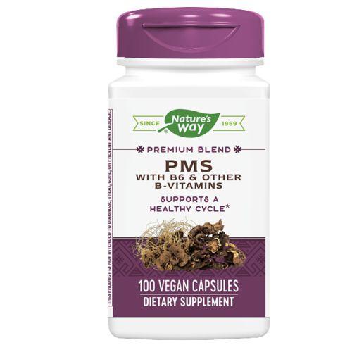 PMS with B6 & other B-Vitamins 100 Caps by Nature's Way