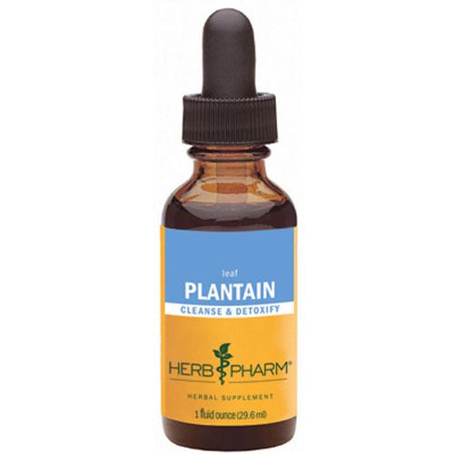 Plantain Extract 1 Oz by Herb Pharm