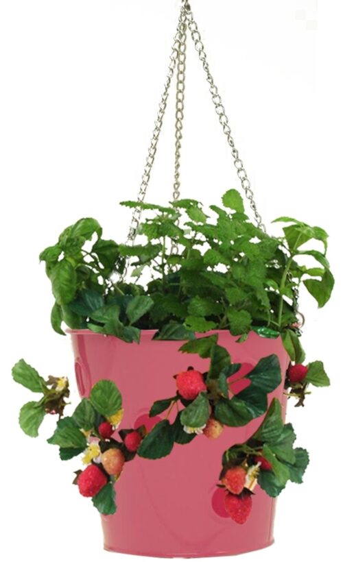 8396E HPK Enameled Galvanized Steel Strawberry, Herb & Floral Hanging Planter, Hot Pink