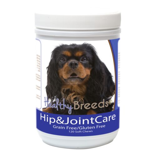 840235183747 English Toy Spaniel Hip & Joint Care, 120 Count