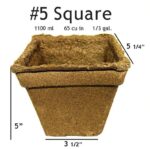 #5 Square Pot - 20 pots