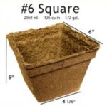 #6 Square Pot - 20 pots
