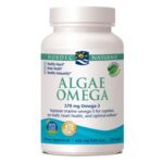Algae Omega 120 Softgels by Nordic Naturals