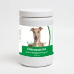 192959014815 Italian Greyhound Glucosamine DS Plus MSM - 120 Count