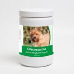 192959015201 Norwich Terrier Glucosamine DS Plus MSM - 120 Count