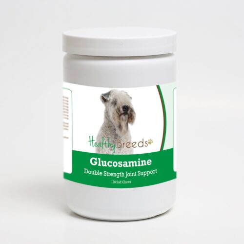 192959015553 Soft Coated Wheaten Terrier Glucosamine DS Plus MSM - 120 Count