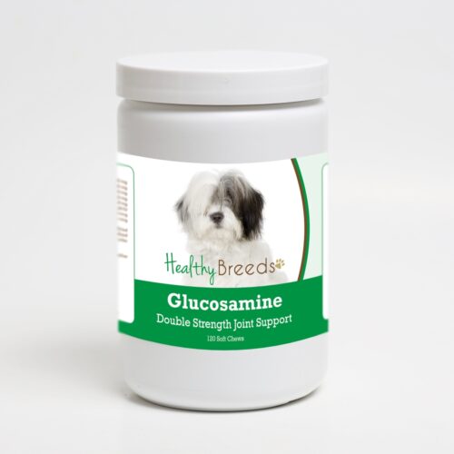 192959015591 Old English Sheepdog Glucosamine DS Plus MSM - 120 Count