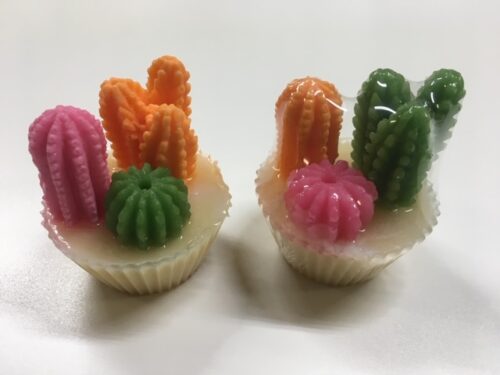 CAC Cactus Cupcake Soap - Desert Eve
