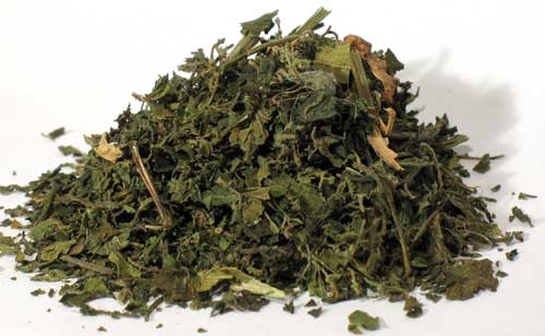 HNETCB 1 Lb Nettle Stinging Leaf Cut - Urtica Dioica