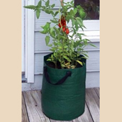 K715 Tomato Planter Bags- Green