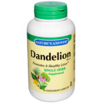 Nature'S Answer Dandelion Root - 90 Vegetarian Capsules