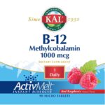 234910 B-12 Methylcobalamin ActivMelt Dietary Supplement, 90 Count