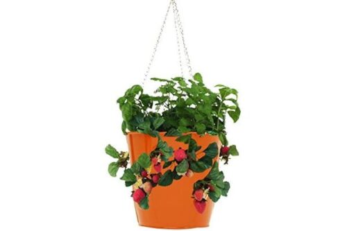 8396E TA Enameled Galvanized Steel Strawberry, Herb & Floral Hanging Planter, Tangerine