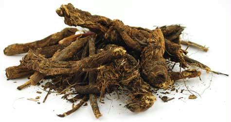 H16OSHRW 1oz Osha Root Whole - Ligusticum Porteri