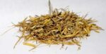 HWITGCB 1 Lb Witches Grass Cut - Agropryon Repens