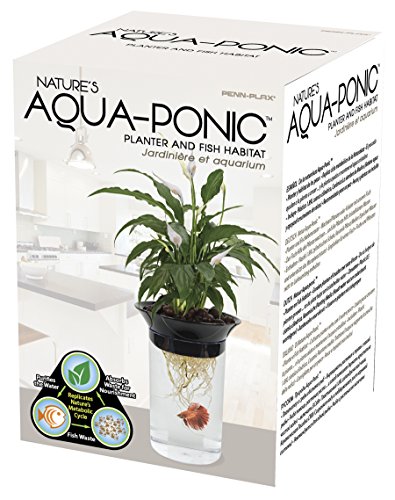 Penn Plax Plastic APON1 Aqua-Ponic Planter And Fish Habitat