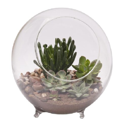 10.25 in. dia. Large Glass Terrarium Planter with Feet, Clear